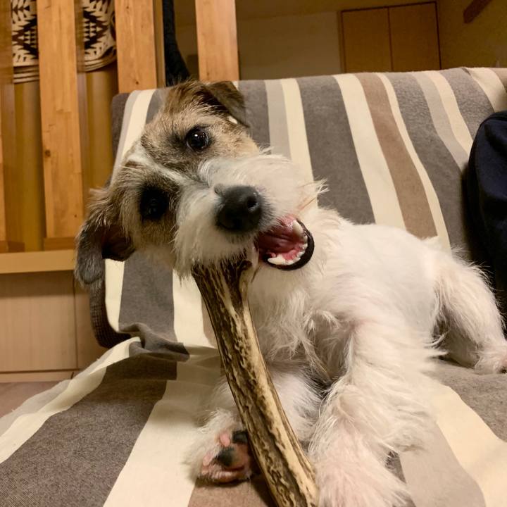 F946a2aa 5537 4ff6 8525 e14dfd734722 1575199458959