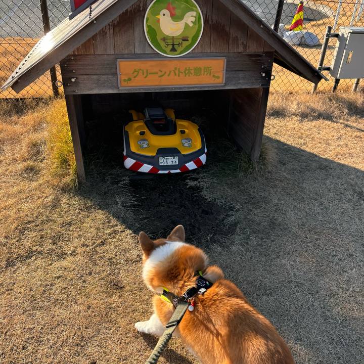 F946a41e bbe0 4ee0 a5a7 4dbe380e50ba 1768044704959