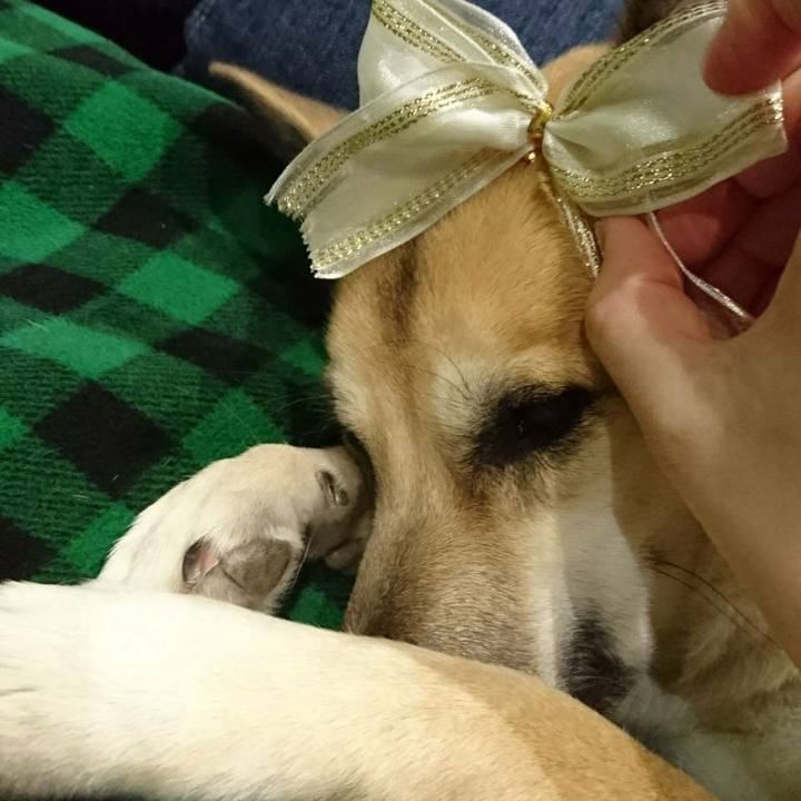 F946d79e 4f76 4325 8ef1 e2b257e59b9a 1518188674883