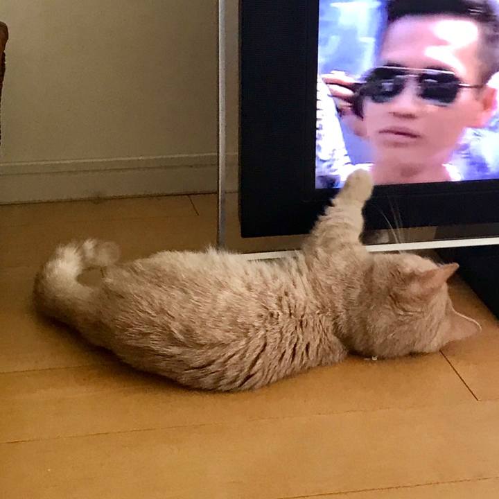 F946e9cb 7f13 493b 99ff 23bc6fe26fed 1528328397453