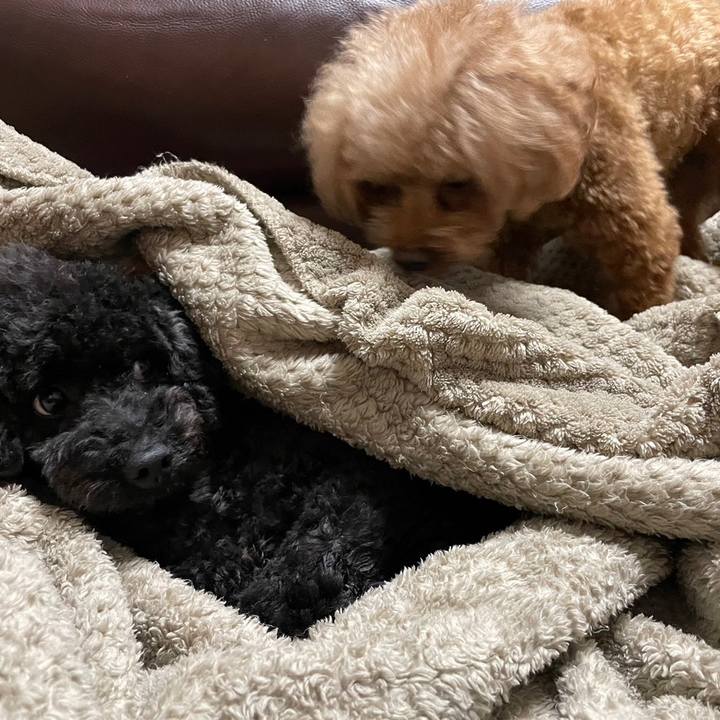 F946f4ea be40 4a76 aebe 55b94b64759a 1668604627211