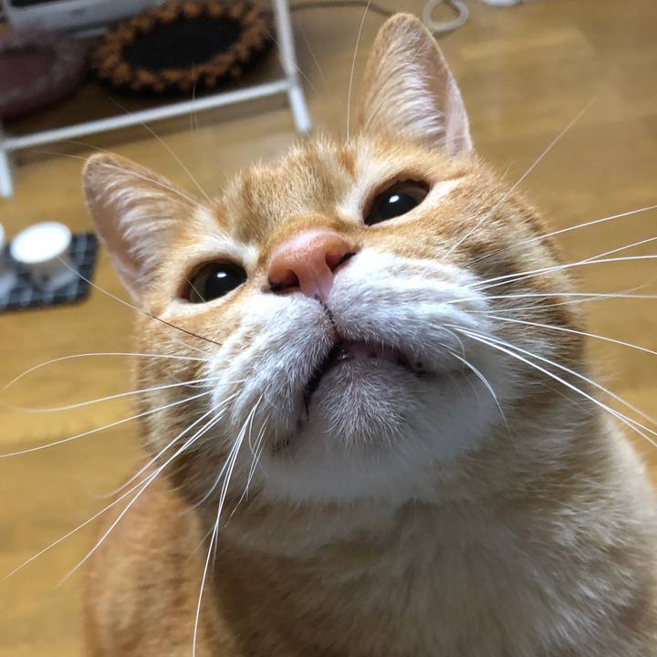 F9470cc8 1f37 44ff 9d1d 15f75580ebd3 1713522925963