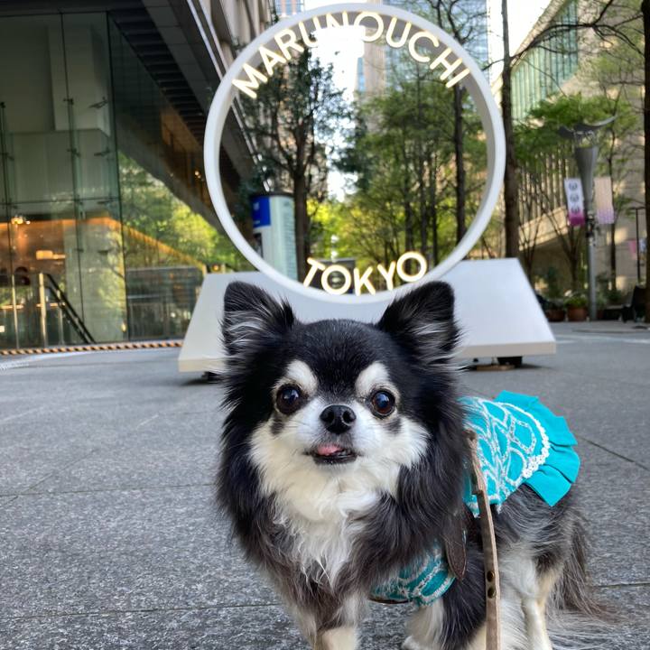 F9472c6b cb2c 4e84 9f6c 3e9078aaafb4 1775647255596