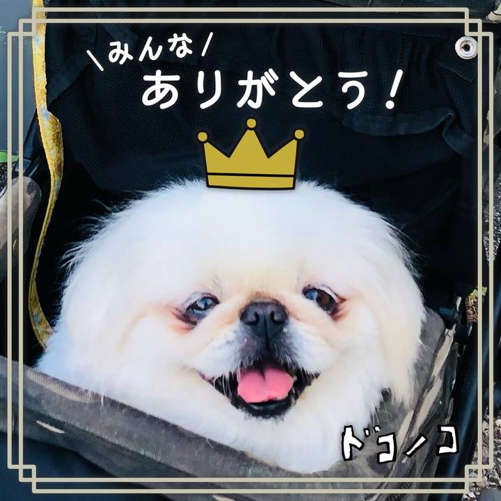 F947314c d3ac 4951 a094 3d14448fa051 1623196530321