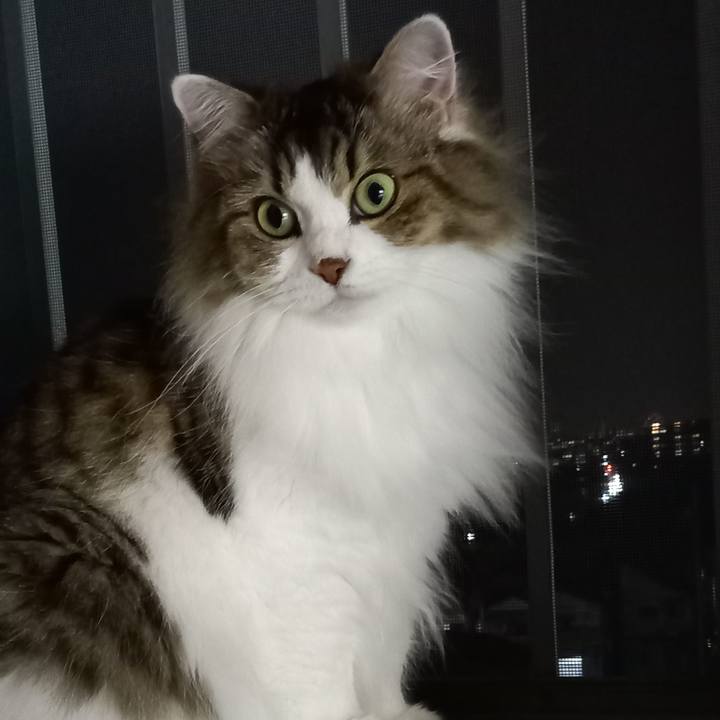 F947394f 52cd 4216 aa61 458f11e7efed 1631360101037