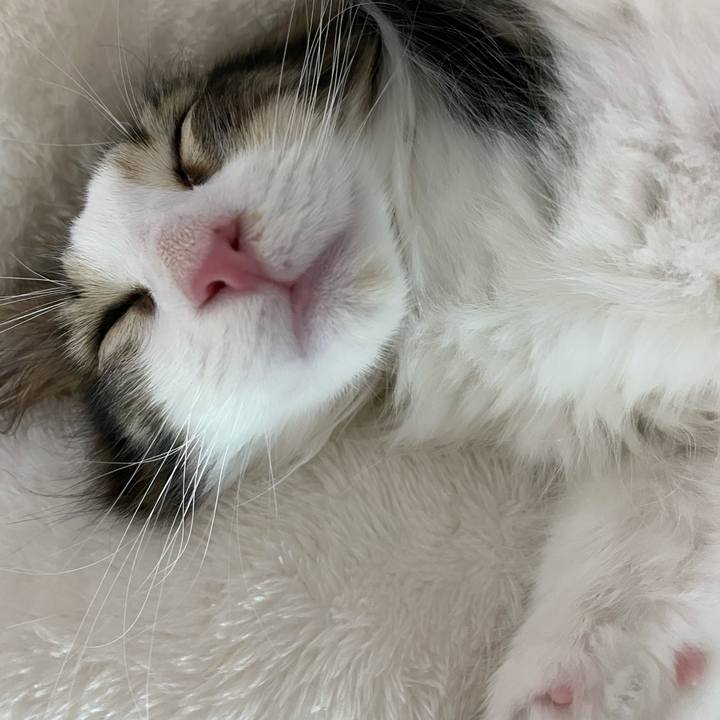 F9474420 06fc 4472 99fd b1b472a942dd 1632645274763