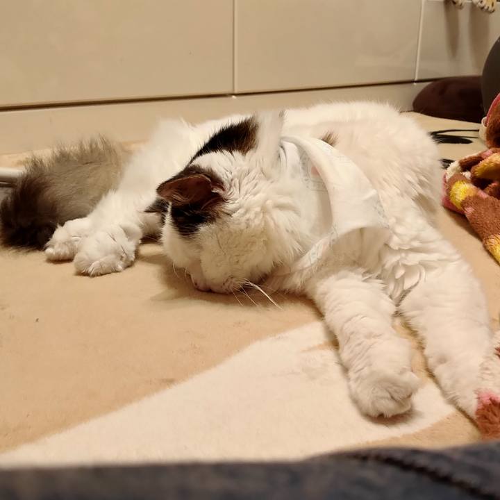 F9474817 f6e0 4038 9666 c1ca225575e0 1580398214427