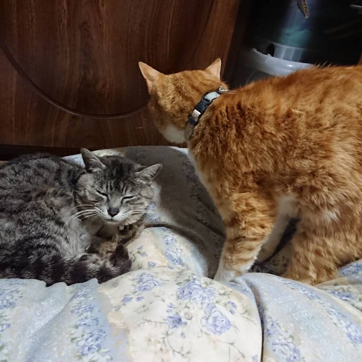 F94751f7 19f3 4783 b23d ca6604b7881b 1590064216194