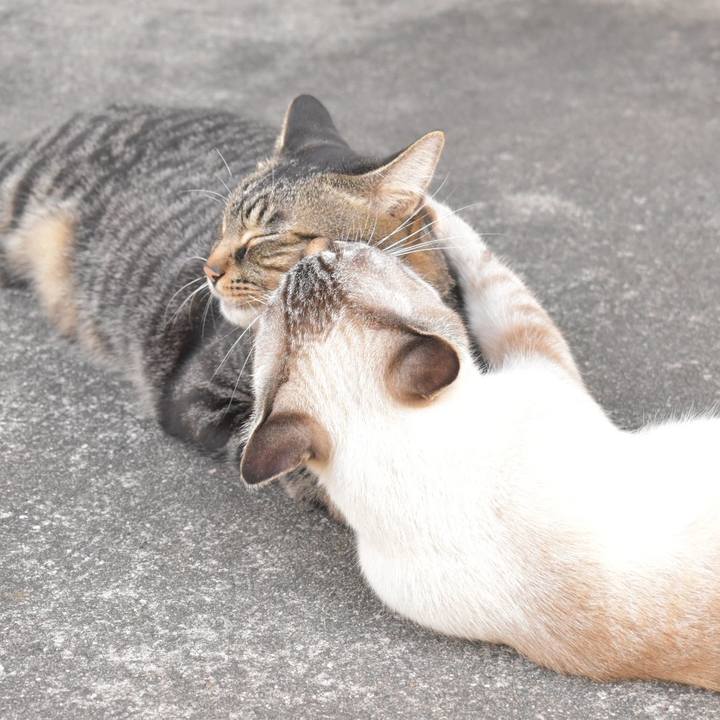 F9475c1c 0219 4dda 9bc1 041a434b63c9 1538901961702