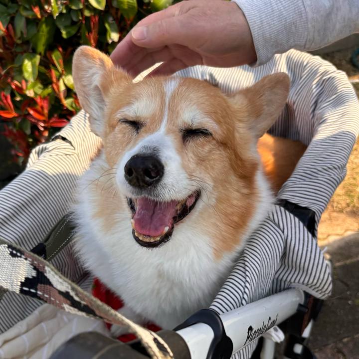 F9478dab 9230 4508 8498 6ec1d82605a4 1774572944390