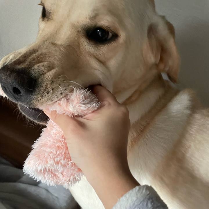 F947ae9c dec3 46db abb8 389afdd84458 1641268712360