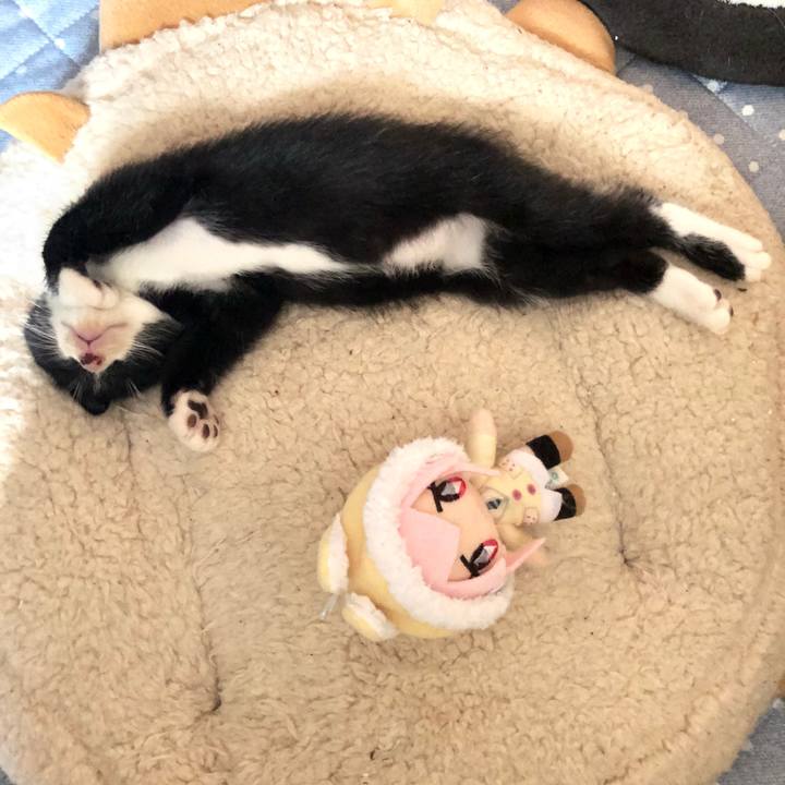 F947cb72 b905 4e46 9916 bd7cb51c2dde 1537775855694