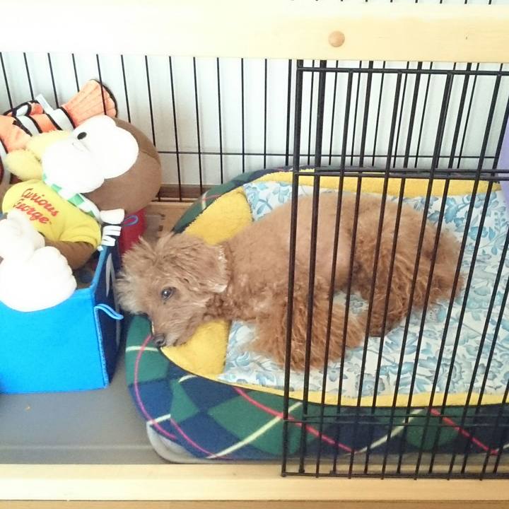 F947e6e8 9295 469c b09f 52524cedd6d1 1532308660047