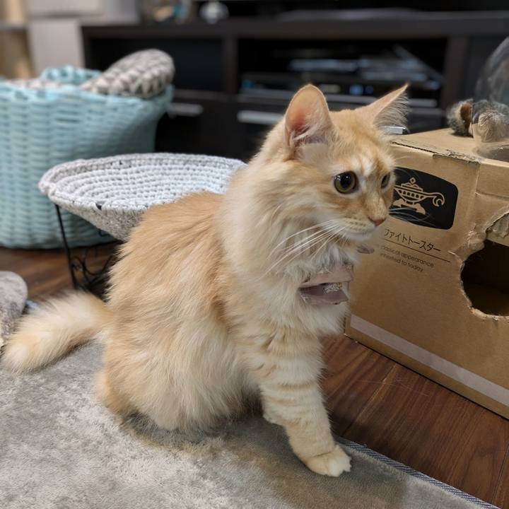 F947fd3c 8ef9 4bcd a45a 23707a107970 1727650194493