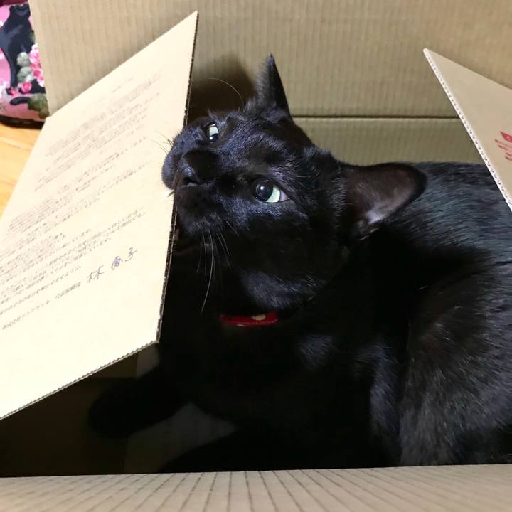 F9481180 8b96 4c0a 91dd 3bf456a3b4e9 1512994447932