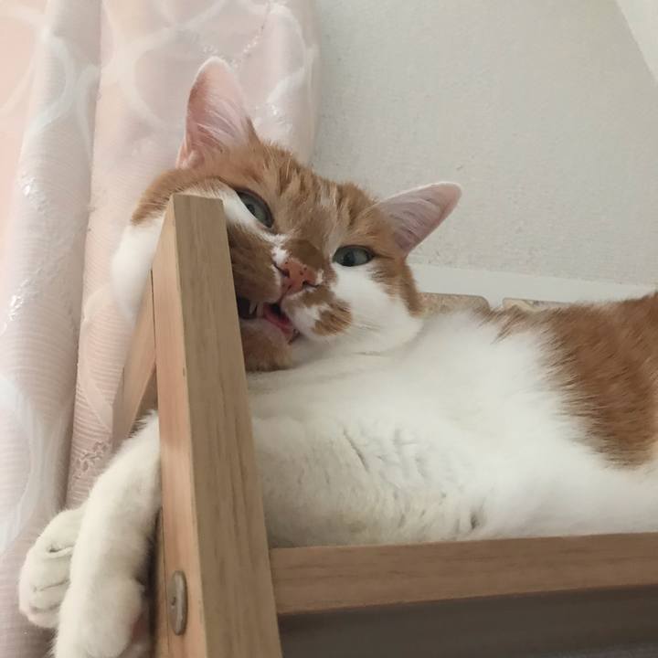 F94855aa 71e3 408c 84e7 5a65b8a22d96 1577059314342