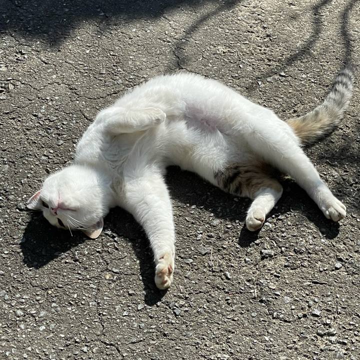 F9485fd8 9194 4c41 8ef1 9c6321240c6e 1636165948632