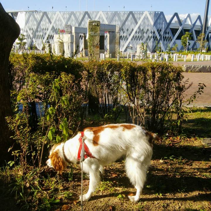 F948857f a2e4 40b8 a2f6 3b227c2d7f18 1540811636378