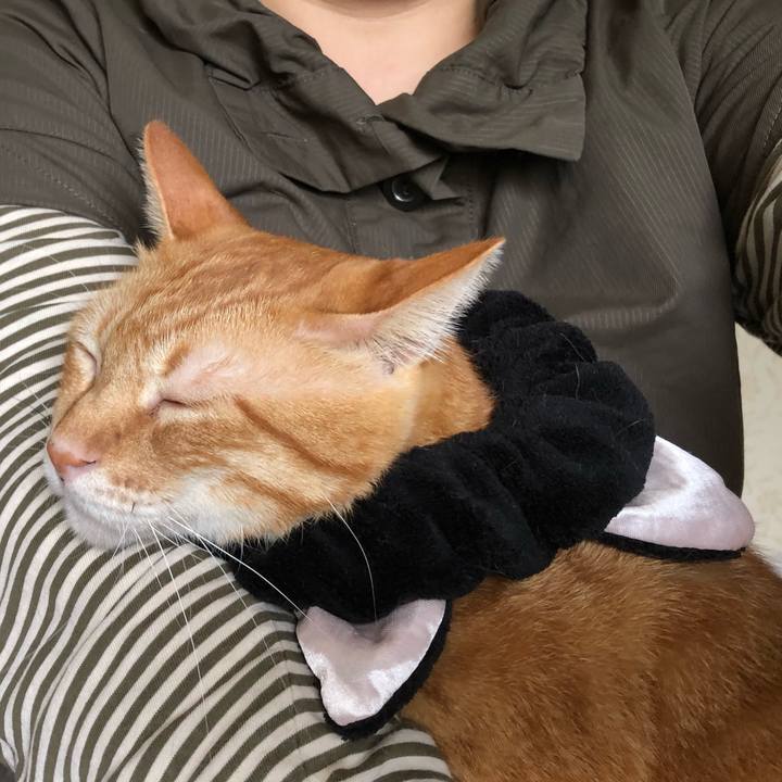 F948a82d 207c 4e7f 8c1e 0341a34867ad 1570253906192