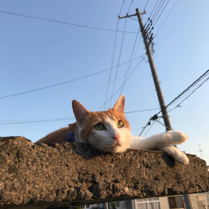 F948c216 457f 4759 8c73 9be45627e8d5 1528020528387