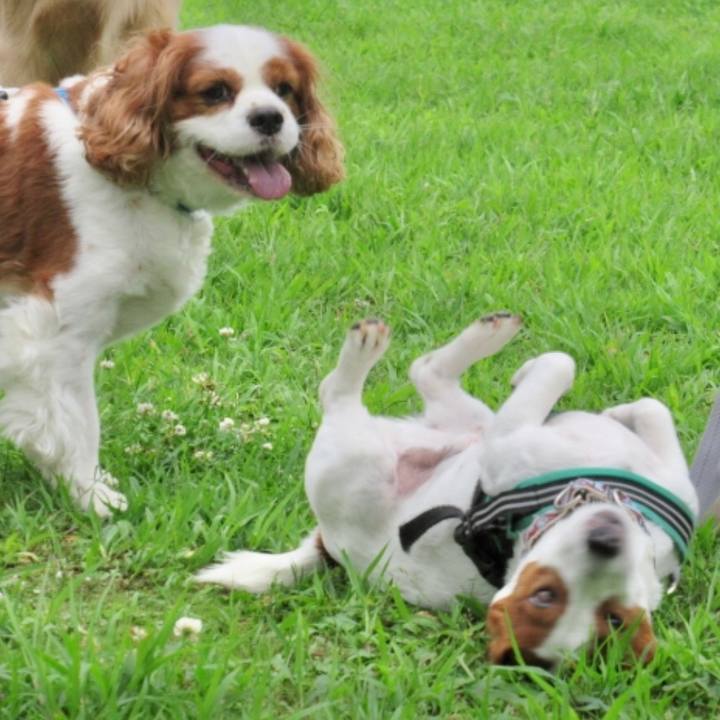 F948ef7c 2022 4f59 813c 05c271fc8802 1595038404891