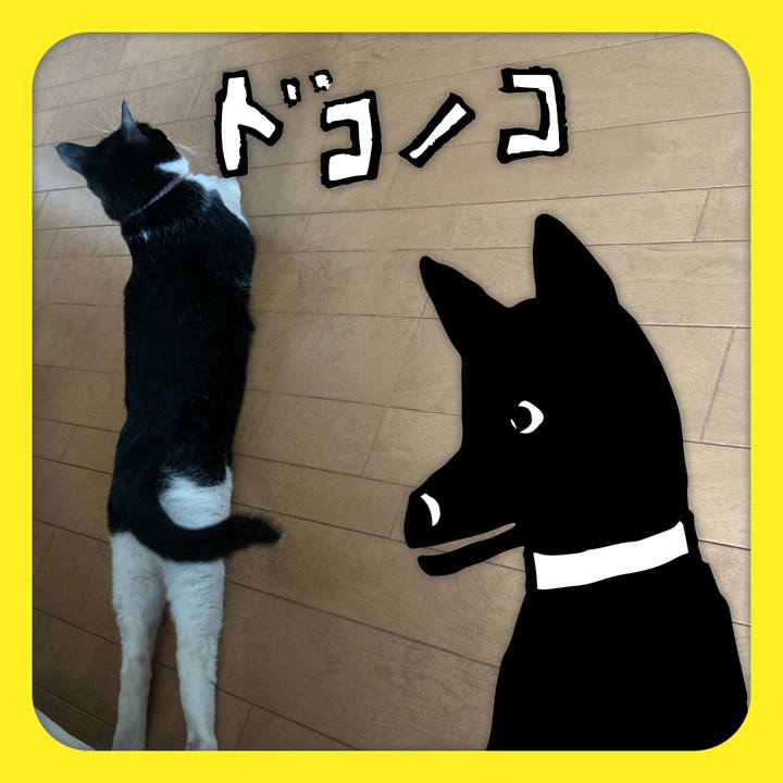 F94928d8 91bf 43f0 ac79 8d15e7ab1e49 1622945615743