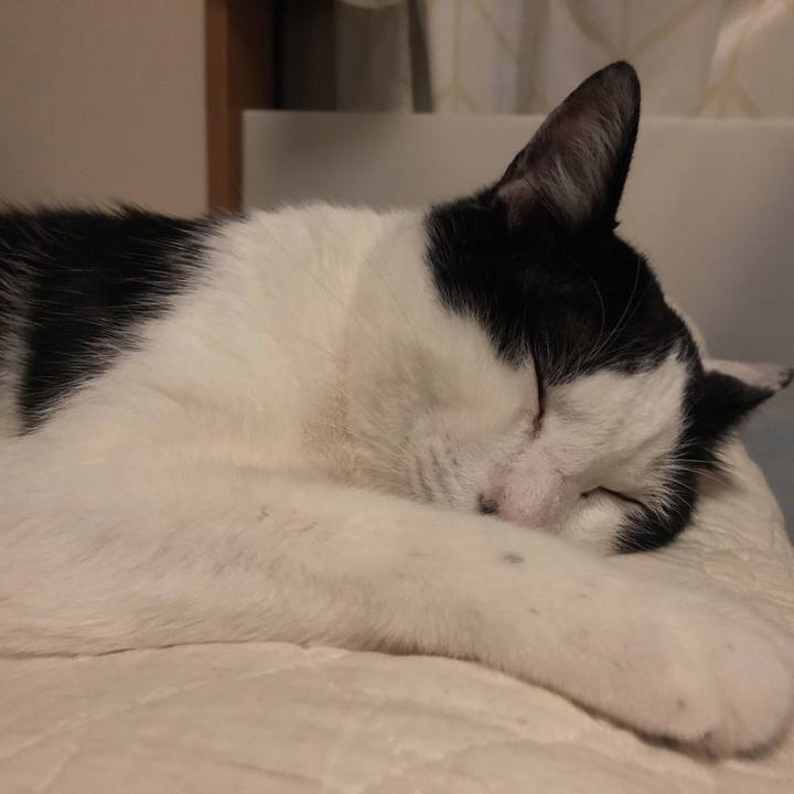 F9492a54 67f9 4cea 8962 e12c26572879 1562759373614