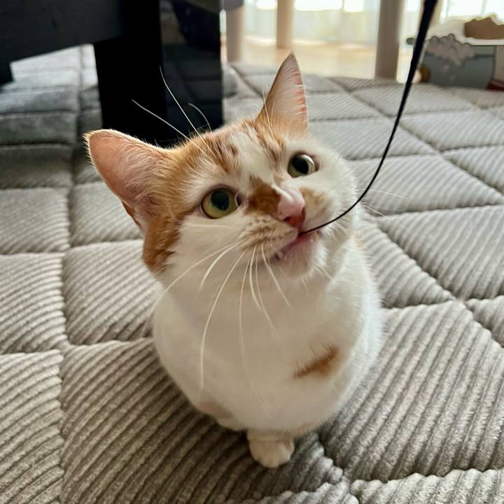 F9494bb7 85a4 43cd a612 90ac32876dd0 1755834309380