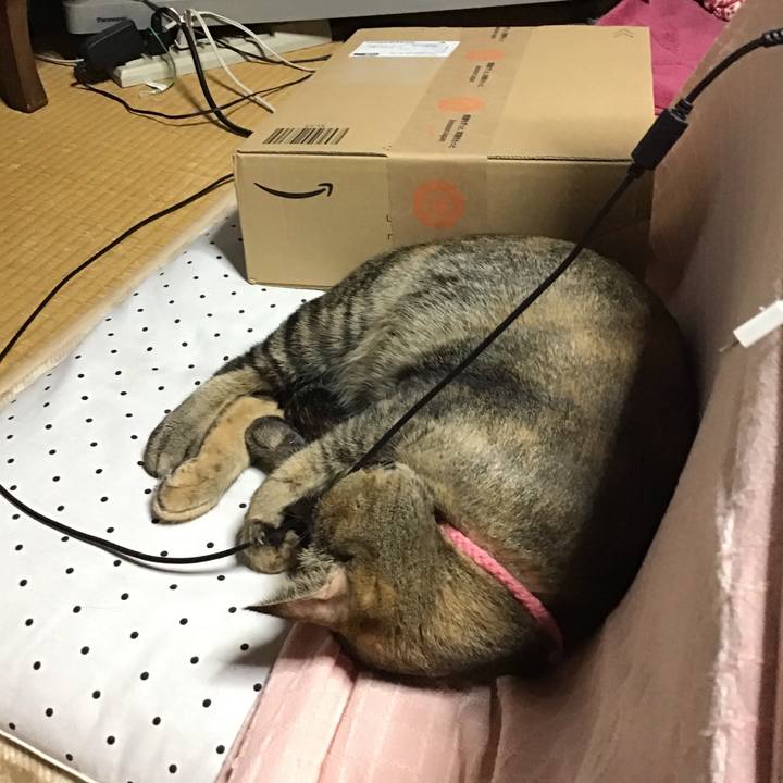 F9496572 506d 4b5a a304 7033a979e2bc 1605861367443