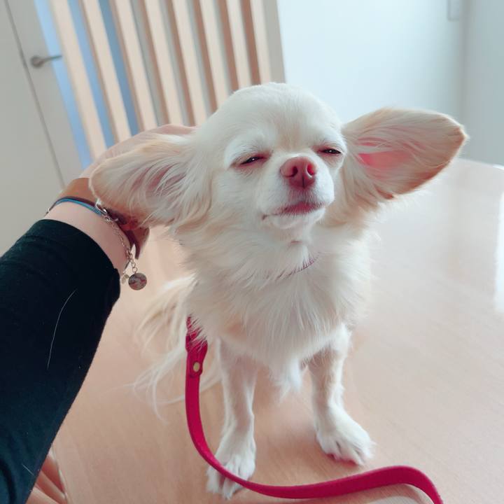 F94980e2 8b2b 48c0 884a 6ade5b4fb329 1684832273447