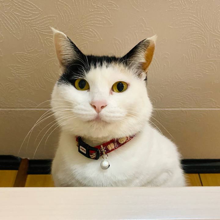 F949b517 fbfc 4a85 b548 4ec5654ae0b4 1650538368956