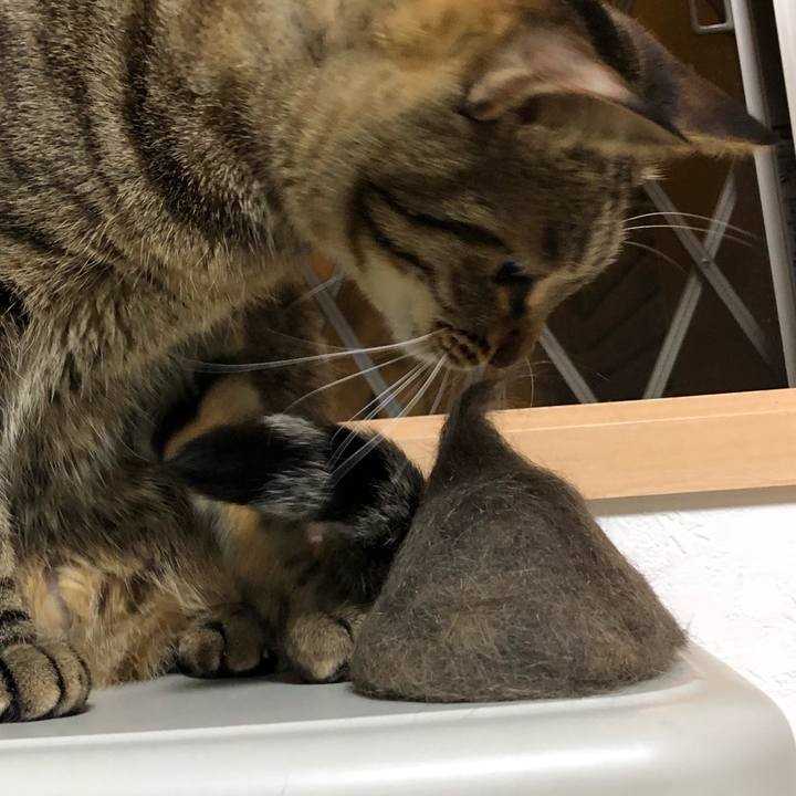 F949bbda 1d94 458b 82ec 047bc57fdb27 1522683887712