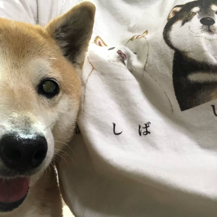 F949da4f 3330 42cc b1cb c269818fb53d 1591617850601