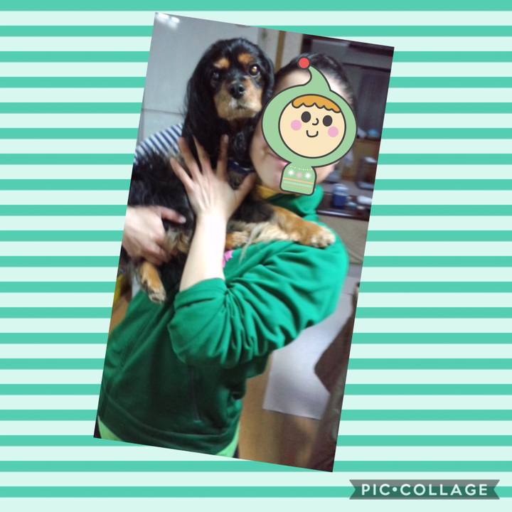 F949ea6f e75b 45f1 8229 1fc181195876 1539126378506