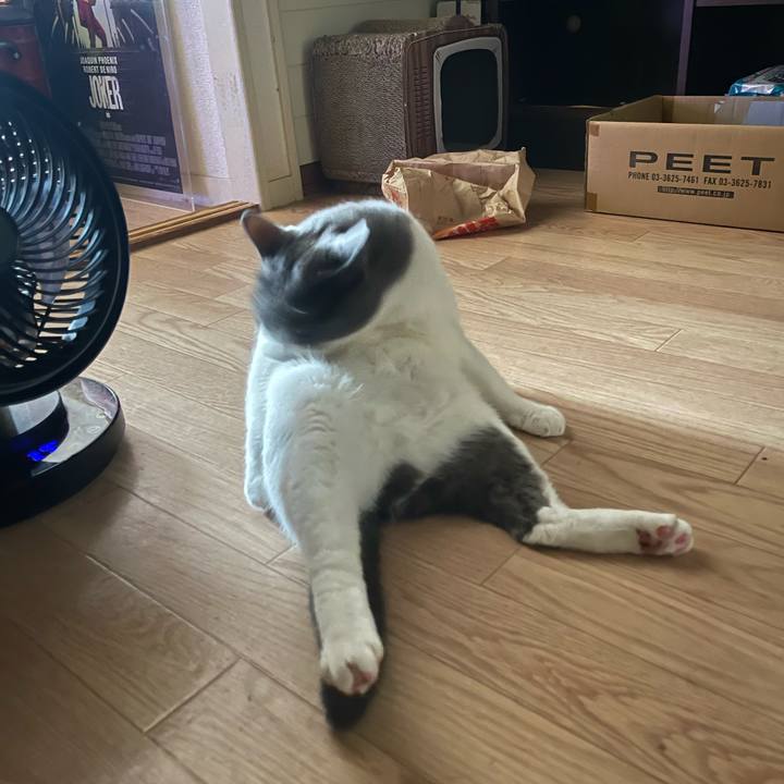 F949ee7c f31d 4938 bea2 4d49573948d0 1725487273090