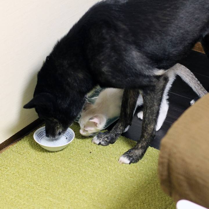 F949f5c3 c014 4c51 b3cd 387867acc5fe 1598616230640