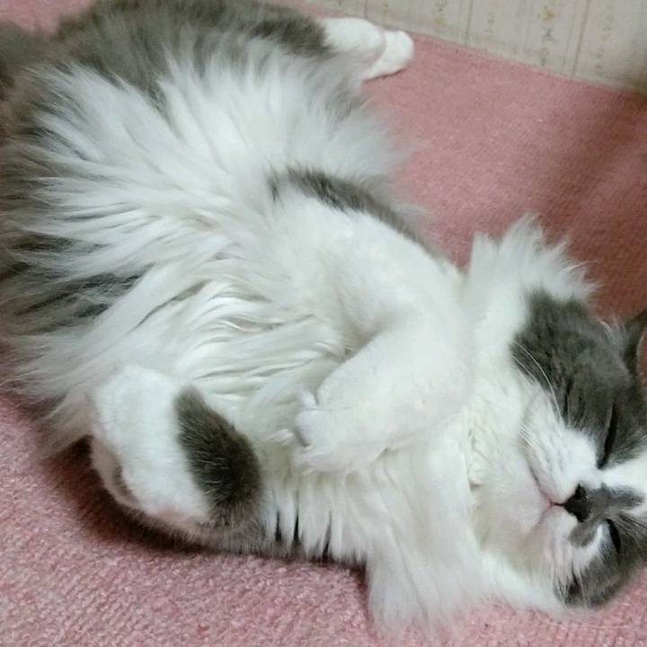 F94a86c9 916c 40ac 8fe2 9f38042029ea 1592739842658