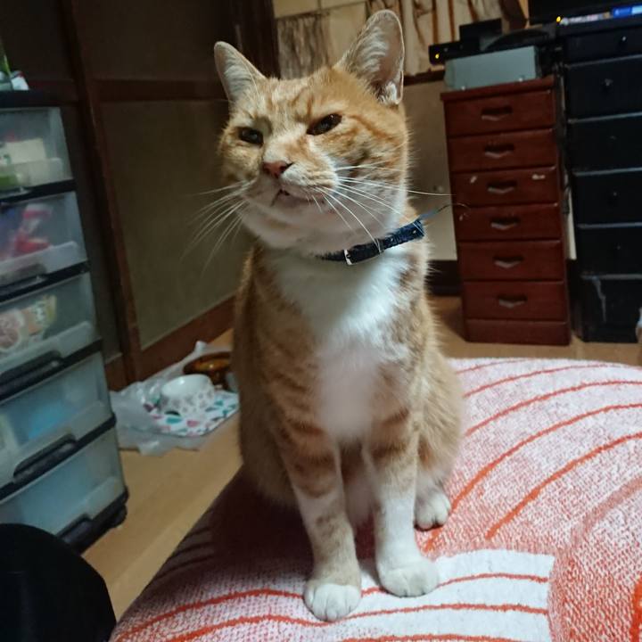 F94a8b88 154d 4d07 a1a9 5e5d1cccd3ab 1603309679522