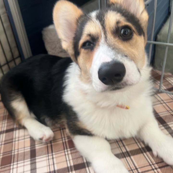 F94adc0f 3cc9 4519 b5be f2127f1dd7c3 1774574102148