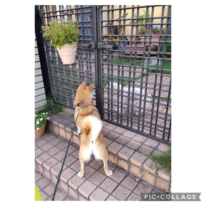 F94af056 4210 4c06 870b 60b1d17e39e2 1717020888861