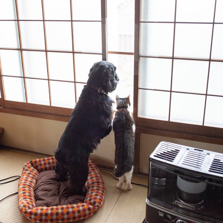 F94b08d1 dd03 4c6a a8f1 7a25424f885e 1548332778703