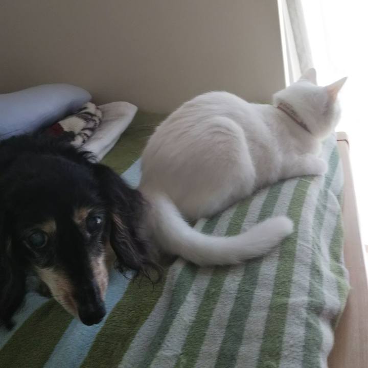 F94b4c7d ad0d 42f4 a145 94509e24697f 1627437458406