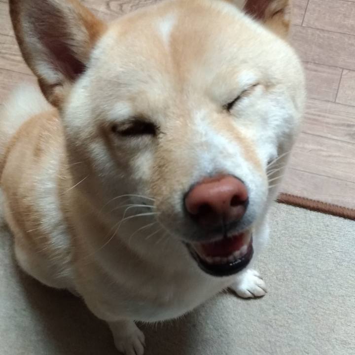 F94b54bc 8abd 4716 a889 0b0fe2f22c46 1565904313463