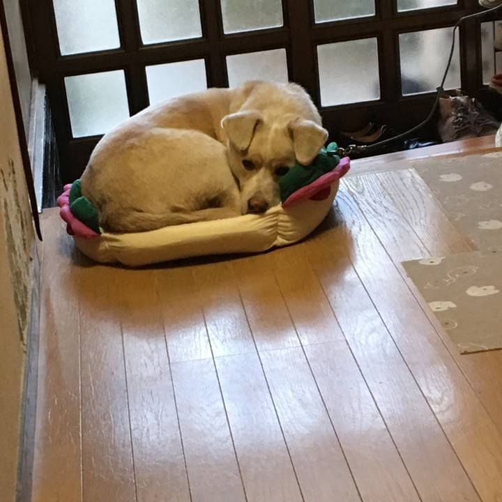 F94b552d 46a2 4819 a009 285f3bab3632 1517296745826