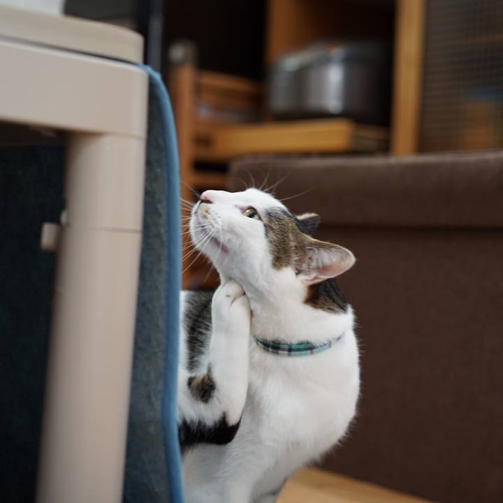 F94b8a38 01f8 405f 9905 60182743e6bd 1549981191319