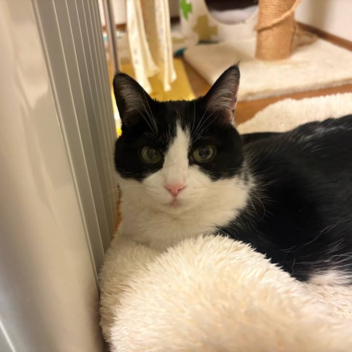 F94b9e9e 0e69 48c9 85ba 710c030b45fe 1770300826831