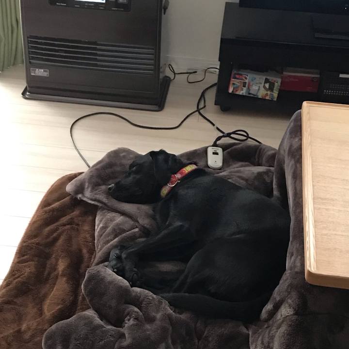 F94bb95f babc 4cd2 ac0c 14bca4ff70a0 1548197407858