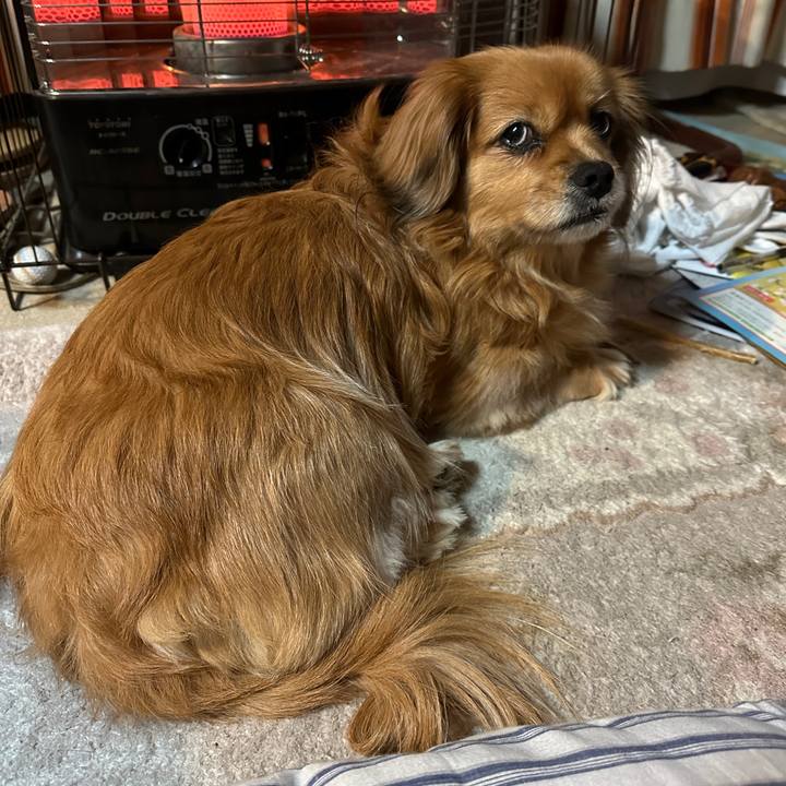 F94bbdd6 854c 4467 bec7 cb4516173b8c 1706044662114