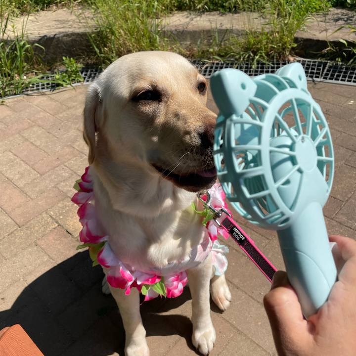 F94bcc1b 5d38 4d92 a670 9502cfeeb813 1652773173289