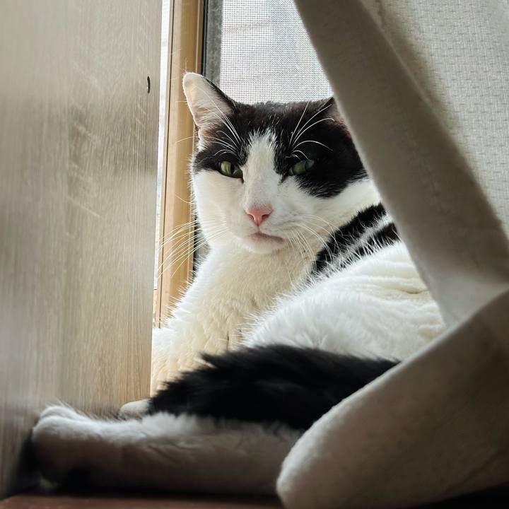 F94c00c5 d786 44dc bc54 e7dc08417013 1713404220858